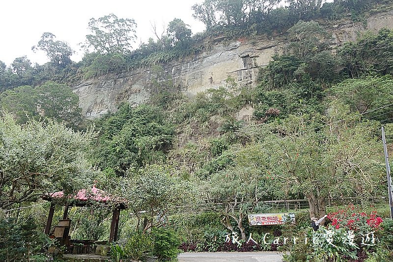 嘉義縣梅山鄉瑞峰太和休閒農業區 嘉義旅遊 南天巨屏竹坑溪步道賴記咖啡莊園海鼠山日出賴坤陽的家親子旅遊推薦