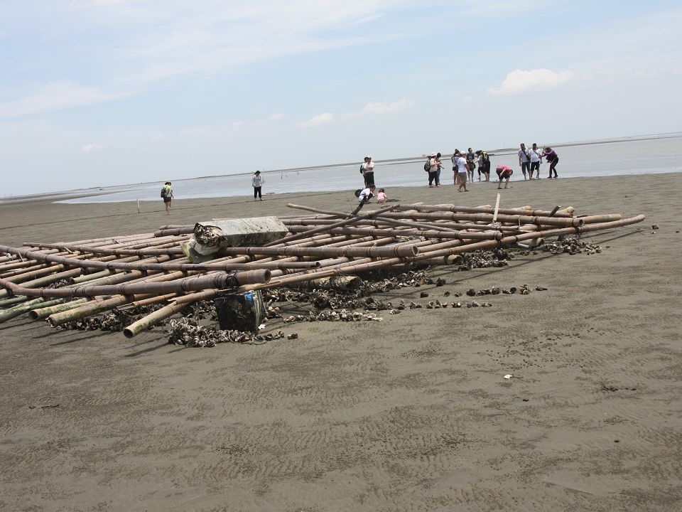 12.jpg - 【嘉義東石/布袋】台灣好行-鹽鄉濱海線：夏艷，浪漫濱海之旅～東石外傘頂洲‧北門婚紗美地‧井仔腳‧南鯤