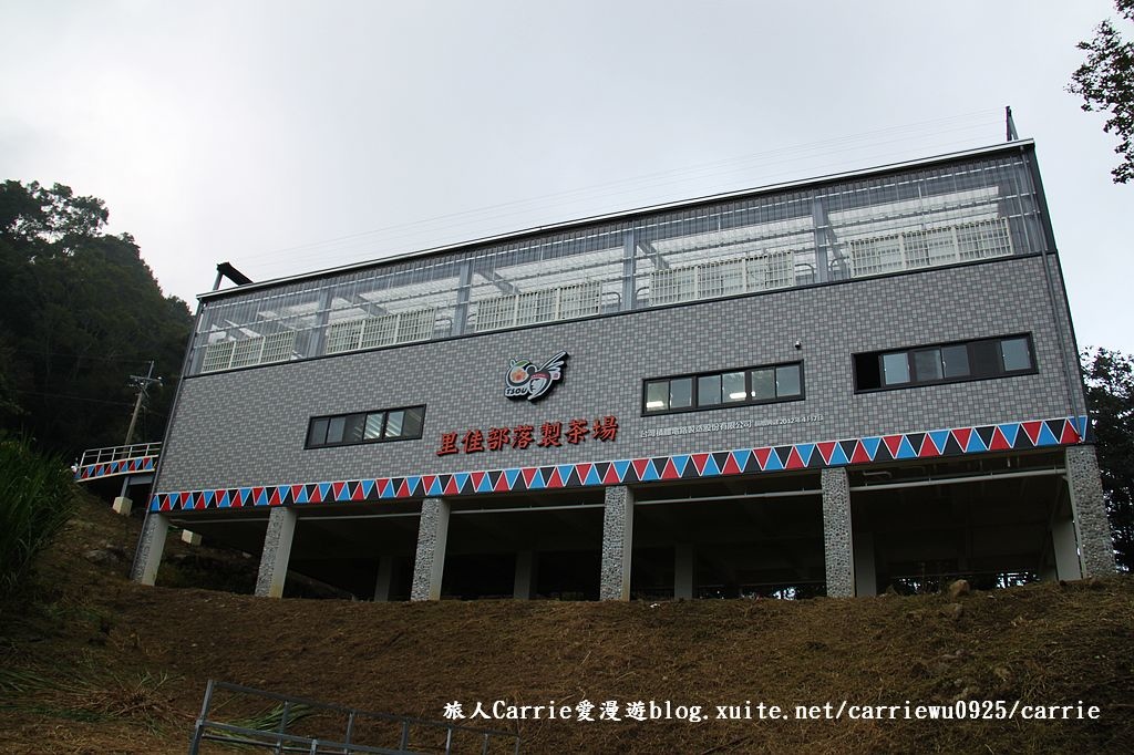 嘉義縣阿里山鄉 里佳部落 華馨園茶園 里佳部落竹筍加工廠 鄒族正宗阿里山高山茶 紅茶diy 旅人carrie愛漫遊