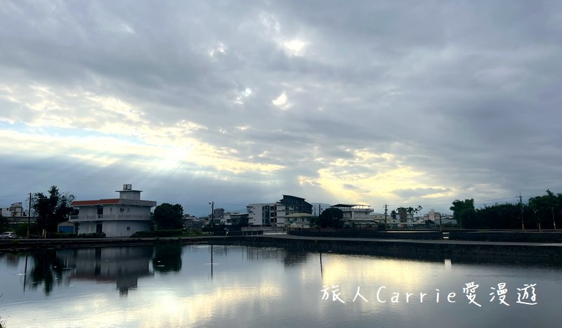 曼漫落羽松奶凍車莊園〜落羽松森林獨家奶凍露營車可愛到爆炸,親