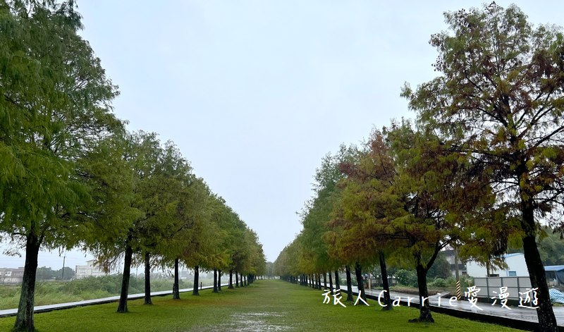 曼漫落羽松奶凍車莊園〜落羽松森林獨家奶凍露營車可愛到爆炸,親