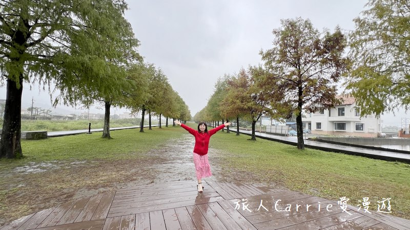 曼漫落羽松奶凍車莊園〜落羽松森林獨家奶凍露營車可愛到爆炸,親