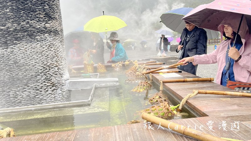 曼漫落羽松奶凍車莊園〜落羽松森林獨家奶凍露營車可愛到爆炸,親