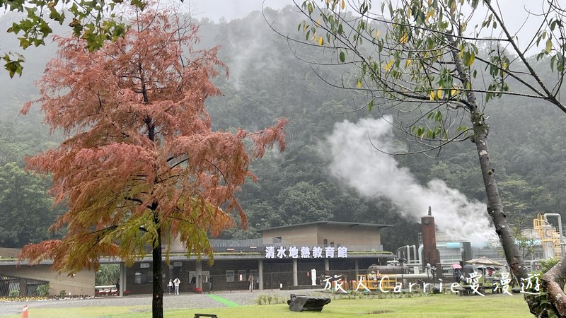 曼漫落羽松奶凍車莊園〜落羽松森林獨家奶凍露營車可愛到爆炸,親