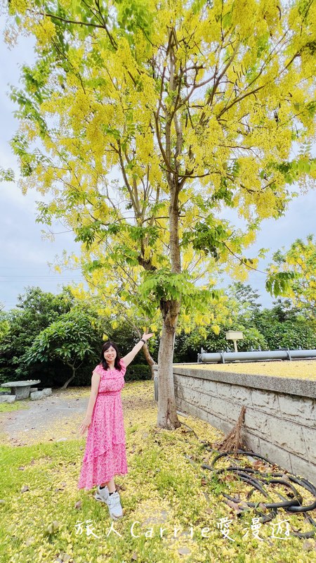 鹿港老街 旗袍美學文化園區～隱身於鹿港老街，沈浸式旗袍體驗，