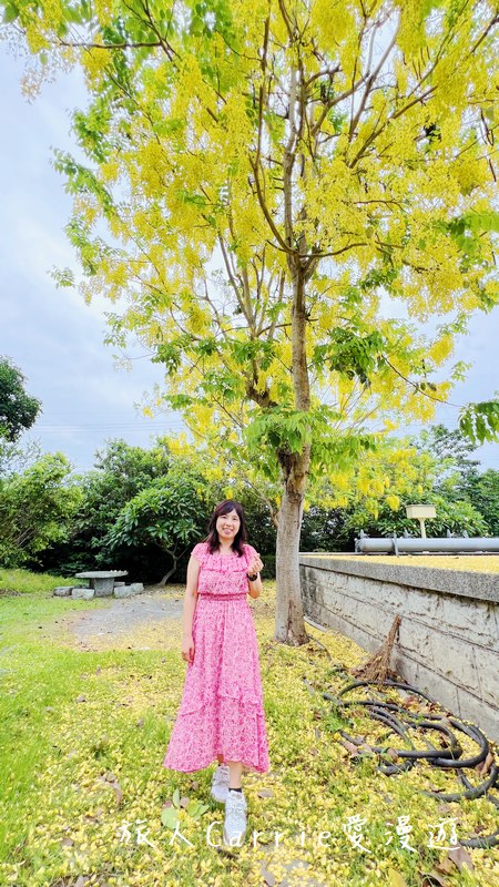 鹿港老街 旗袍美學文化園區～隱身於鹿港老街，沈浸式旗袍體驗，