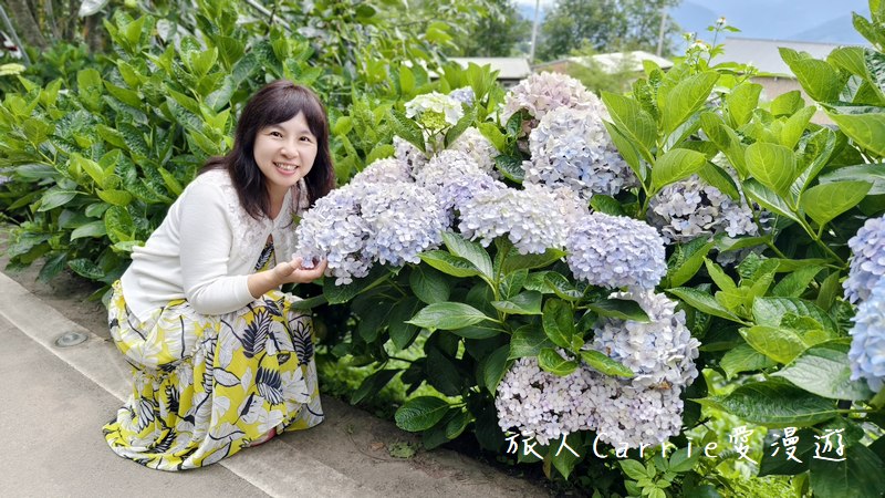 蟬說：霧語WooYuu〜新竹景點懶人包，高海拔新竹豪華露營G