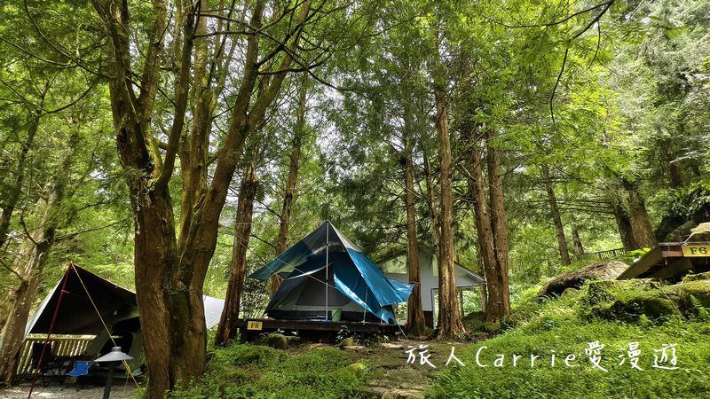 蟬說：溪頭生態露營區 Xitou Ecocamping～進口