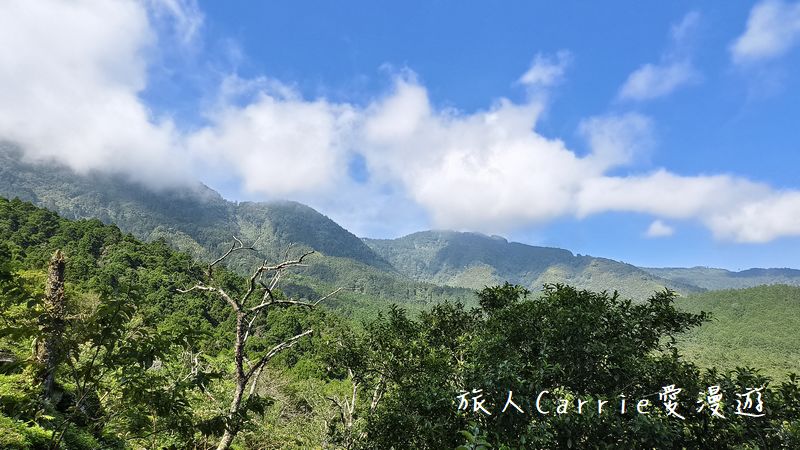 蟬說：溪頭生態露營區 Xitou Ecocamping～進口