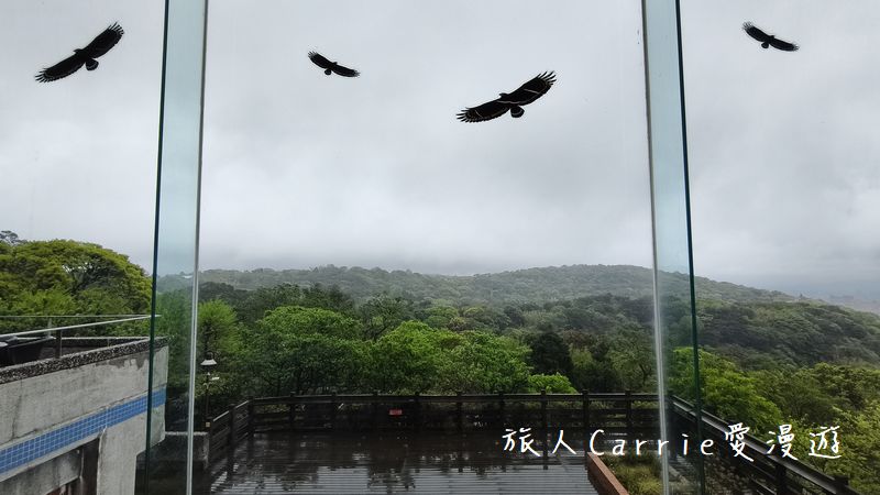 蟬說：暖硫ChanShuo Warm Flow～台北陽明山第