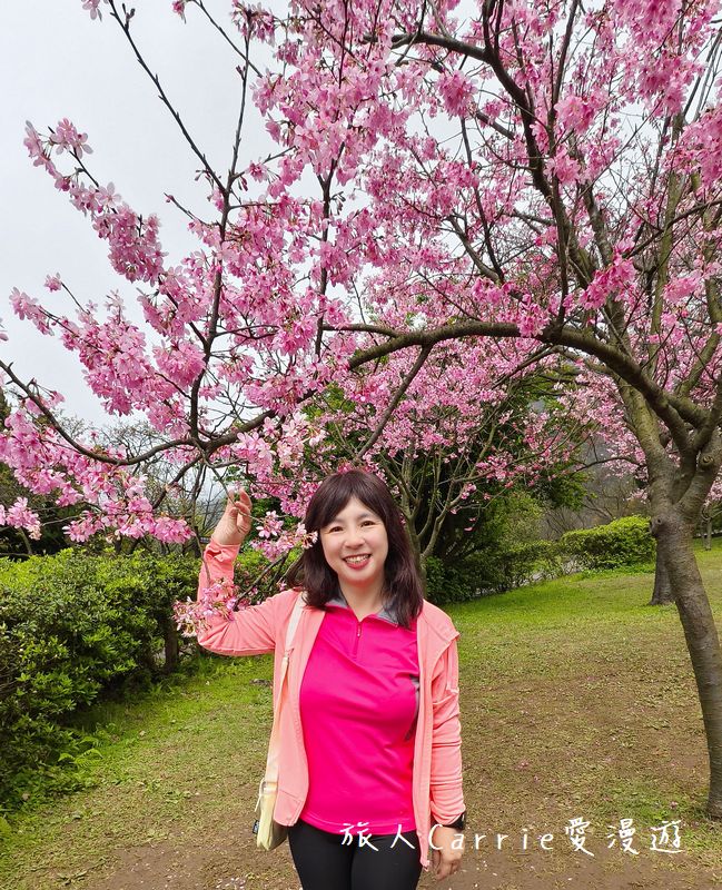 蟬說：暖硫ChanShuo Warm Flow～台北陽明山第