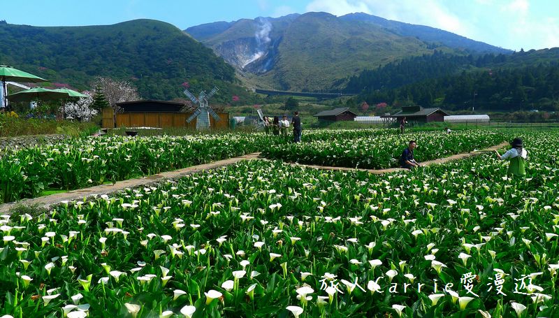 蟬說：暖硫ChanShuo Warm Flow～台北陽明山第