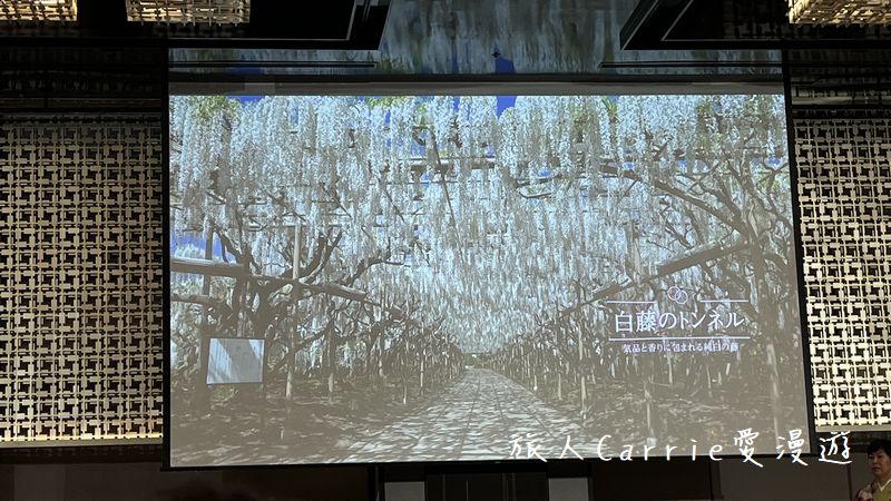 【日本夜景觀光嘉年華 2025 in TAIWAN】日本最新