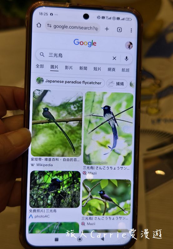 【日本夜景觀光嘉年華 2025 in TAIWAN】日本最新